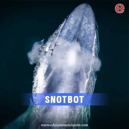 SNOTBOT